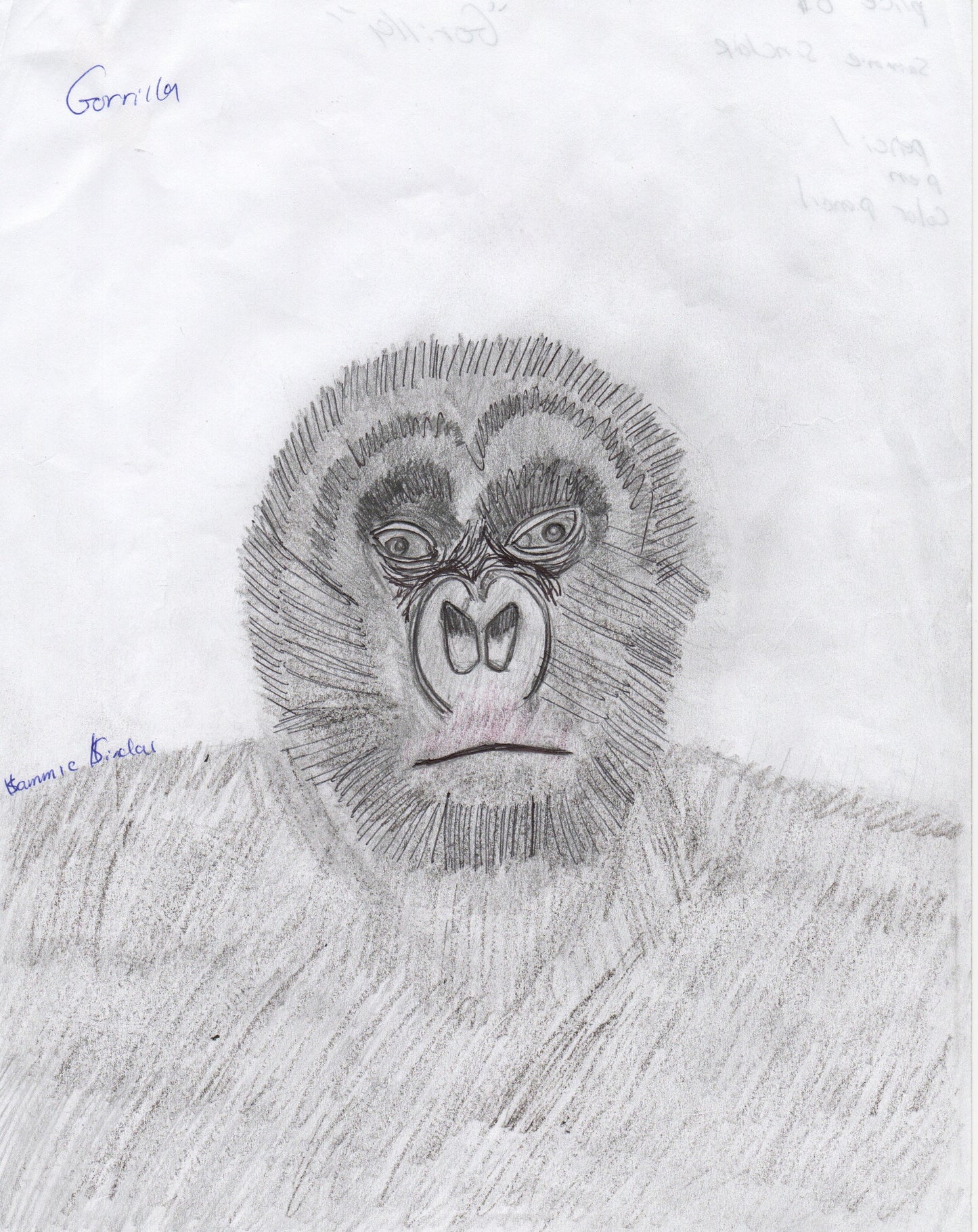 "Gorilla" (Original) by Sammie Sinclair