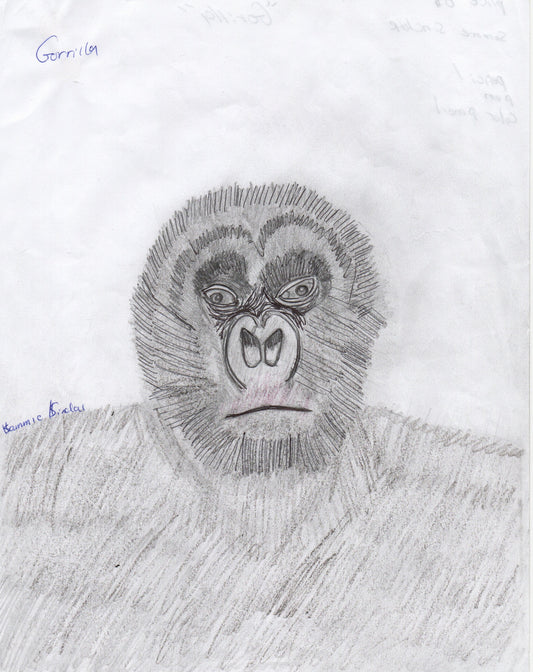 "Gorilla" (Original) by Sammie Sinclair